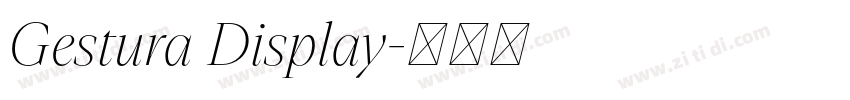 Gestura Display字体转换 Gestura Display字体转换